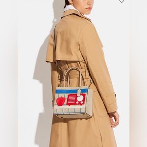 Coach Cashin Carry tote